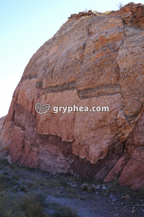 Faille Moab - gryphea.com
